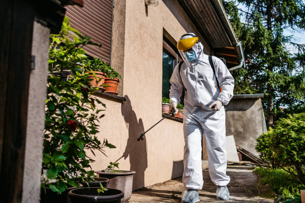 Best Best Pest Control Companies  in Morton Grove, IL