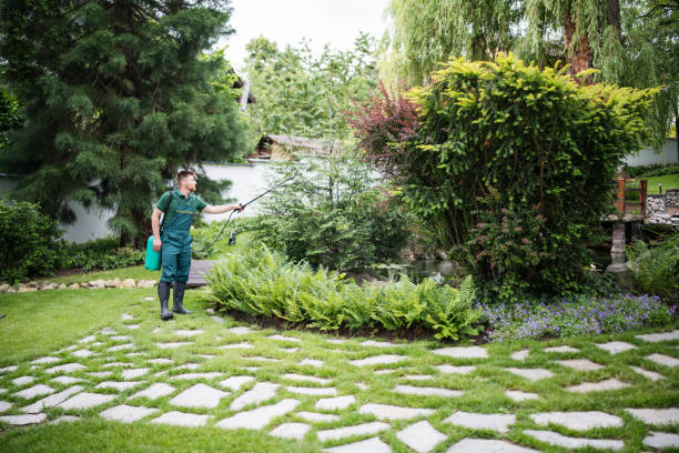 Insect Control in Morton Grove, IL