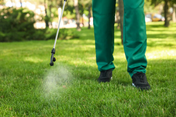 Best Affordable Pest Control Services  in Morton Grove, IL