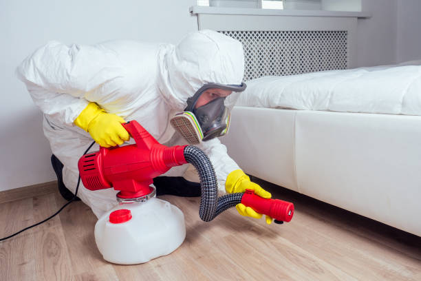 Best Local Pest Control Services  in Morton Grove, IL