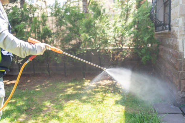 Best Pest Inspection Near Me  in Morton Grove, IL