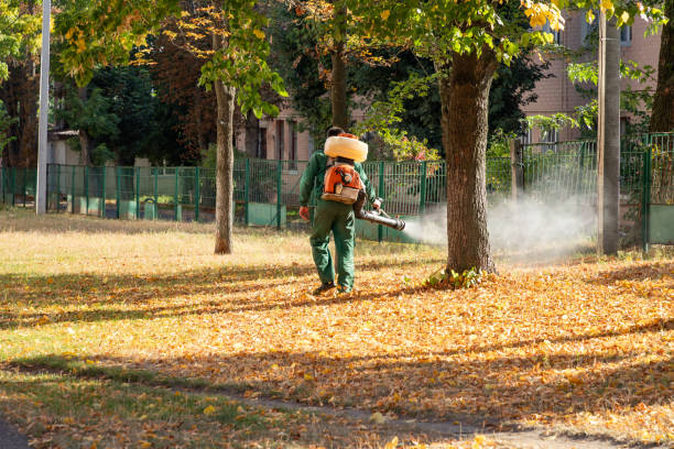 Best Pest Control Treatment  in Morton Grove, IL