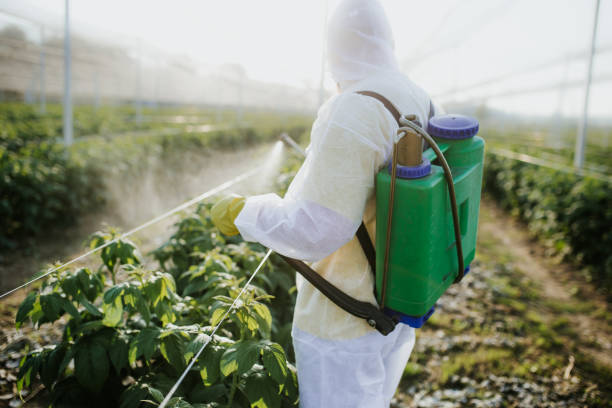 Professional Pest Control in Morton Grove, IL